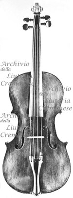 1679Viola a.jpg