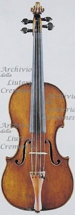 1679ViolinoParera a.jpg