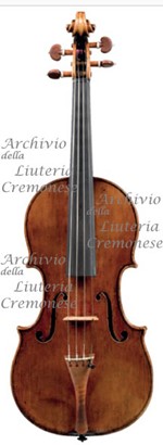 1694ViolinoMuir a1.jpg 1694ViolinoMuir a1.jpg