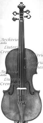 1696ViolinoMuirhead a.jpg