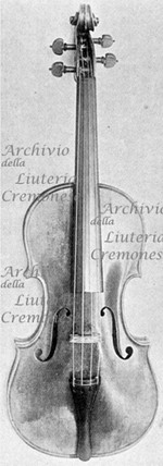 1699ViolinoCamposelice a.jpg