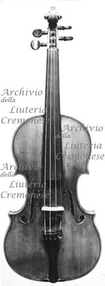 1703cViolino a.jpg