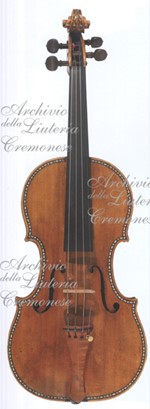 1709ViolinoSpagnolo1 a.jpg