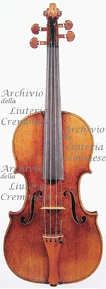 1714ViolinoGeneralKid a.jpg