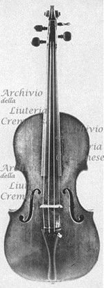 1715cViolino a.jpg