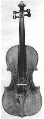 1715ViolinoAurea a.jpg