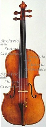 1721ViolinoArchinto a.jpg