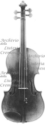 1723ViolinoEdler a.jpg