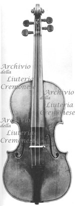 1725ViolinoLubbock a.jpg