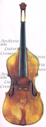 1728cVioladAmore a.jpg