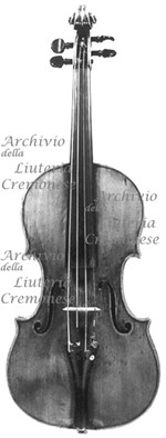 1728ViolinoThunis a.jpg