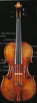 1731ViolinoMcThuen a.jpg