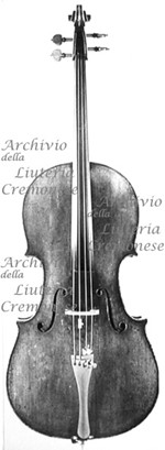 1731VioloncelloBraga a.jpg