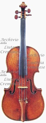 1732ViolinoTaylor a.jpg