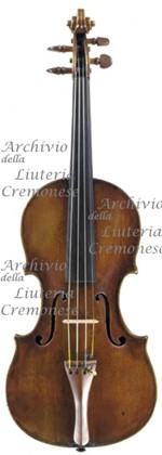 1810cViolino2 a.jpg