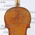 1670cViolino2 c.jpg