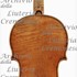 1680cViolino3 c.jpg