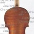 1680cViolino c.jpg