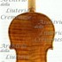 1682Violino c.jpg