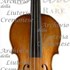 1683cViolinoO'Neill a1.jpg