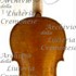 1683cViolinoO'Neill c1.jpg