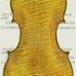 1684Violino c.jpg