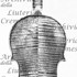 1694ViolinoBenecke c.jpg