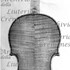 1696cViolino c.jpg