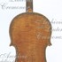 1696ViolaSpagnola c.jpg