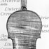 1698Violino c.jpg