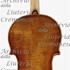 1700cViolino7 c.jpg