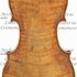 1701ViolinoFerraresi c1.jpg