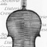 1701ViolinoNachèz c.jpg