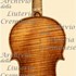 1702ViolinoThunis c.jpg