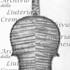 1702ViolinoWondraBay c.jpg