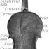 1703ViolinoAlsager c.jpg