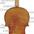 1708ViolinoRuby c.jpg