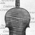 1708ViolinoSilvestre c.jpg