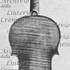 1709ViolinoHammerle c.jpg