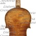 1709ViolinoSiberian c.jpg