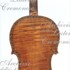 1709ViolinoSpagnolo1 c.jpg