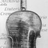 1710cViolino c.jpg