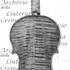 1710ViolinoRoederer c.jpg