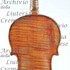 1711ViolinoVogelweith c.jpg