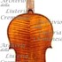 1713ViolinoWirth c.jpg