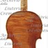 1715cViolino2 c.jpg