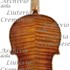 1715ViolinoLipinski c.jpg