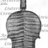 1716ViolinoBooth c.jpg