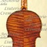 1716ViolinoCessole c.jpg