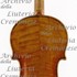 1716ViolinoNashez c.jpg